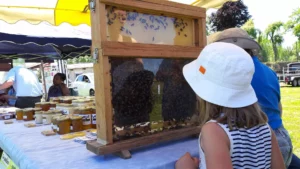 Fête de la Biodiversité 2022 de Vandenesse, les ruches